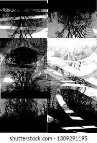 Distressed background in black and white texture from bare tree with circles, spots, scratches and lines. Abstract vector illustration