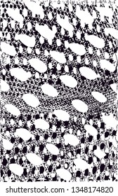 Distressed background in black and white texture with dots, spots, scratches and lines. Abstract vector illustration