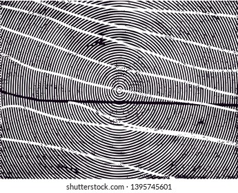 Distressed background in black and white texture with dots, spots, scratches and lines. Abstract vector illustration