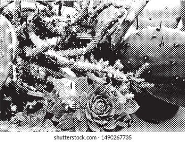 Distressed background in black and white texture with cacti, dots.Vector illustration