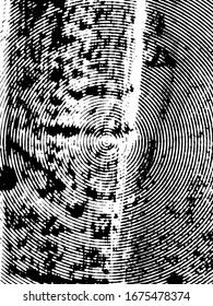 Fondo perturbado en textura en blanco y negro con manchas, arañazos y líneas. Ilustración de vector abstracto