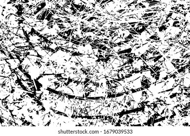 Distressed background in black and white texture with grass, spots, scratches and lines. Abstract vector illustration