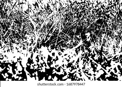 Fondo angustiado en textura en blanco y negro con hierba, manchas, arañazos y líneas. Ilustración de vector abstracto