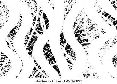 Distressed background in black and white texture with grass, spots, scratches and lines. Abstract vector illustration