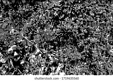 Distressed background in black and white texture with  grass, scratches and lines. Abstract vector illustration.