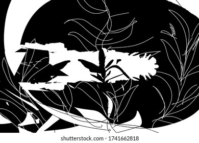 Distressed background in black and white texture with leafs, dots, spots, scratches and lines. Abstract vector illustration.