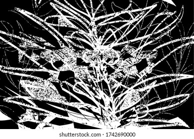 Distressed background in black and white texture with leafs, dots, spots, scratches and lines. Abstract vector illustration.
