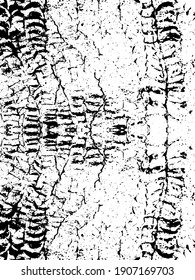 Distressed background in black and white texture with dots, spots, scratches, and lines. Abstract vector illustration.
