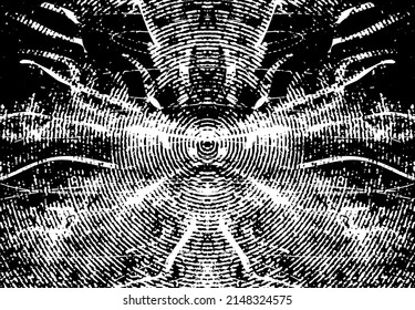 Distressed background in black and white texture with circles, spots, scratches and lines. Abstract vector illustration