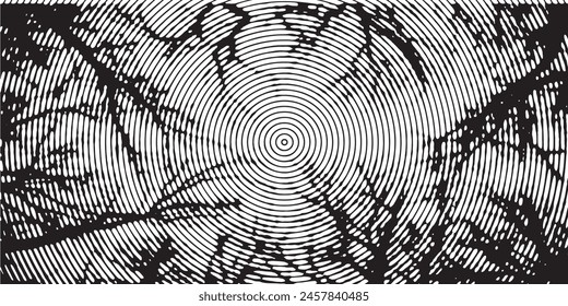 Distressed background in black and white texture with circles, spots, scratches and lines. Abstract vector illustration