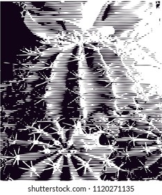 Distressed background of cacti in black and white texture with  dark spots, scratches and lines. Abstract vector illustration