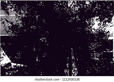 Distressed background from tree in black and white texture with dots, spots, scratches and lines. Abstract vector illustration