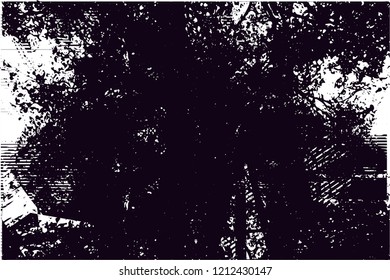 Distressed background from tree in black and white texture with dots, spots, scratches and lines. Abstract vector illustration