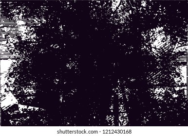 Distressed background from tree in black and white texture with dots, spots, scratches and lines. Abstract vector illustration