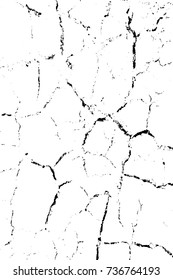 Distressed Cracked Paint Overlay Texture. Grunge dry overlay background. EPS10 vector.