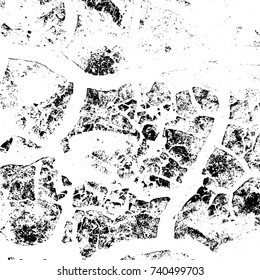 Distressed Cracked Paint Overlay Texture. Dry weathered grunge background. Grain used template. EPS10 vector.