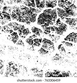 Distressed Cracked Paint Overlay Texture. Dry weathered grunge background. Grain used template. EPS10 vector.