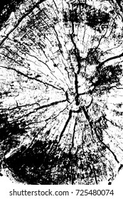 Distressed halftone grunge vector texture - wood trunk scratch background. Tree rings - black and white. Vector illustration EPS 8 for creation abstract vintage effect with noise and grain.