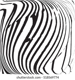 Distressed Lines Wavy Black Overlay Texture For Your Design. EPS10 vector.