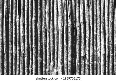 Distressed overlay bamboo, indian cane texture, grunge background. abstract halftone vector illustration