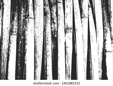 Distressed overlay bamboo plank texture, grunge background. abstract halftone vector illustration