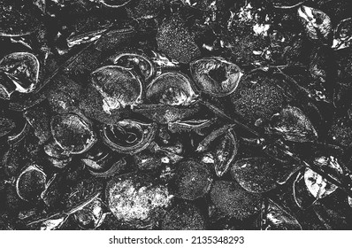 Distressed overlay closeup texture of chestnut. grunge black and white background. abstract halftone vector illustration