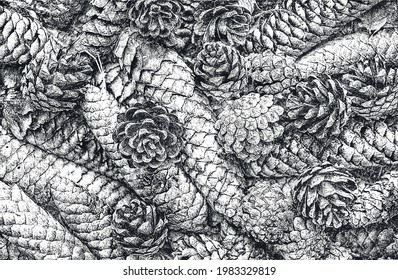 Distressed overlay closeup texture of pine cone, needles. grunge black and white background. abstract halftone vector illustration