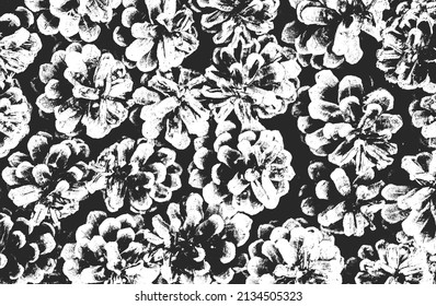 Distressed overlay closeup texture of pine cone, needles. grunge black and white background. abstract halftone vector illustration