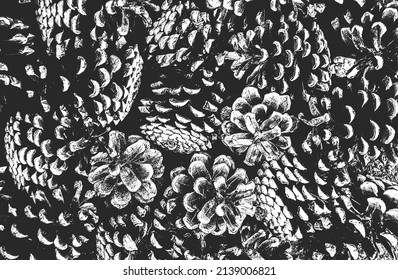 Distressed overlay closeup texture of pine cone, needles. grunge black and white background. abstract halftone vector illustration