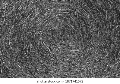Distressed overlay grass stem texture on the ground. grunge black and white background. abstract halftone vector illustration