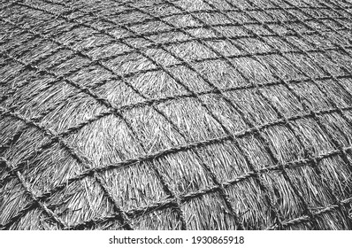 La textura del tallo de la hierba superpuesta en el suelo. fondo negro y blanco grueso. ilustración abstracta de vector de medio tono