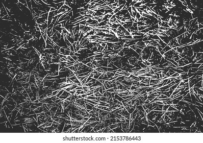 Distressed overlay grass stem texture on the ground. grunge black and white background. abstract halftone vector illustration
