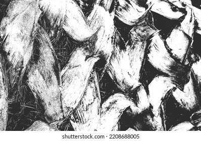 Distressed overlay grass stem texture on the ground. grunge black and white background. abstract halftone vector illustration