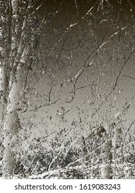 Distressed overlay metallic silver chromium plated texture. grunge background. abstract vector illustration