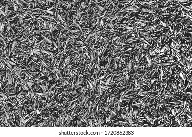 Distressed overlay texture of bean pods, plant stems, dry leaves. grunge black and white background. abstract halftone vector illustration