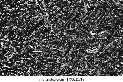 Distressed overlay texture of clove sticks, carnation, plant stems, dry leaves. grunge black and white background. abstract halftone vector illustration