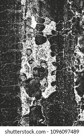 Distressed overlay texture of cracked concrete, stone or asphalt. grunge background. abstract halftone vector illustration