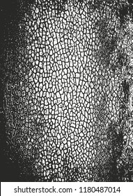 Distressed overlay texture of cracked concrete, stone or asphalt. grunge background. abstract halftone vector illustration