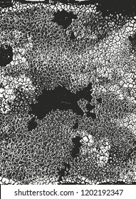 Distressed overlay texture of cracked concrete, stone or asphalt. grunge background. abstract halftone vector illustration