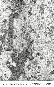 Distressed overlay texture of cracked concrete, stone or asphalt. grunge background. abstract halftone vector illustration