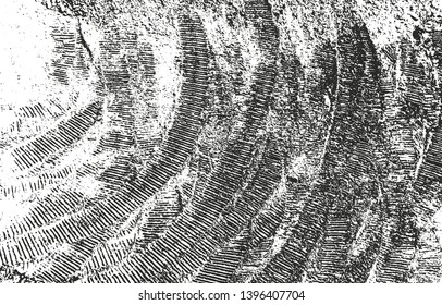 Distressed overlay texture of cracked concrete, stone or asphalt. grunge background. abstract halftone vector illustration