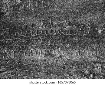 Distressed overlay texture of cracked concrete, stone or asphalt. grunge background. abstract halftone vector illustration
