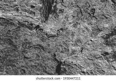 Distressed overlay texture of cracked concrete, stone or asphalt. grunge background. abstract halftone vector illustration