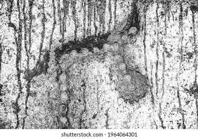 Textura superpuesta en peligro de hormigón, piedra o asfalto. fondo grueso. ilustración abstracta de vector de medio tono