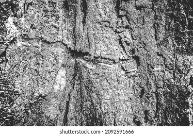Distressed overlay texture of cracked concrete, stone or asphalt. grunge background. abstract halftone vector illustration