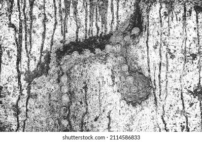 Distressed overlay texture of cracked concrete, stone or asphalt. grunge background. abstract halftone vector illustration