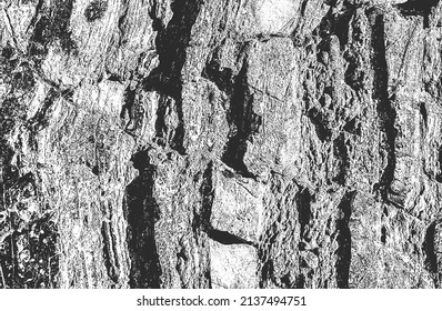 Distressed overlay texture of cracked concrete, stone or asphalt. grunge background. abstract halftone vector illustration