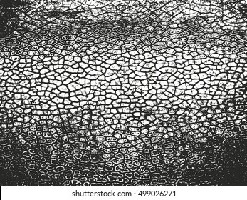 Distressed overlay texture of cracked concrete. grunge background. abstract halftone vector illustration