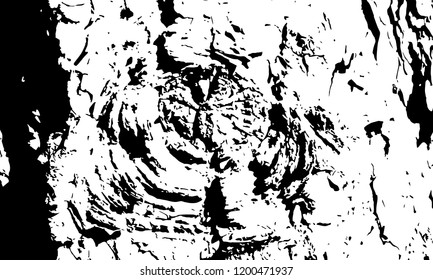Distressed  overlay texture of cracked tree trunk. Grunge texture vector design