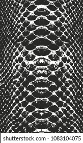 Distressed overlay texture of crocodile or snake skin leather, grunge vector background.